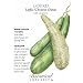 Luffa Gourd Heirloom Seeds