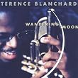 Wandering Moon