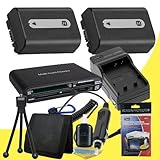Two NPFH50 Lithium Ion Replacement Battery w/Charger + Memory Card Reader/W ....
