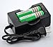 Tangsfire 18650 3600mah 3.7v Rechargeable Li-ion Battery (Pair) + Charger Combo& Free battery box