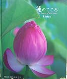 ϡ�Τ�����(CD��)