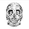 Image of album by The Black Ghosts
