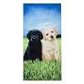 Puppy Beach Towel - Multicolor (30x60")