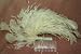 Bridal Accessories 51BOGD3ZIAL. SL75 Bridal Accessories