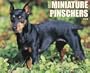 Just Miniature Pinschers 2010 Calendar