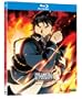 Fullmetal Alchemist: Brotherhood, Part 2 [Blu-ray]