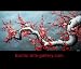 Chinese Flower Painting Cherry Blossom Tree Painting c0952