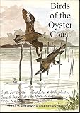 The birds of the oyster coast