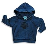 Silver Pony - Infant Boys Distressed Hoodie Sweatshirt, Blue