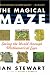 The Magical Maze: Seeing the World Through Mathematical Eyes