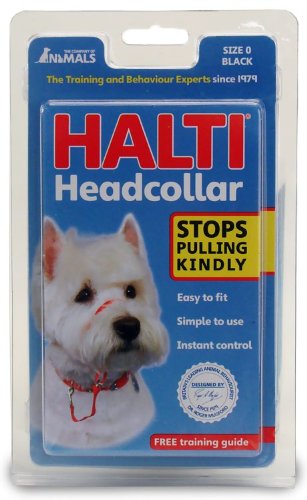 Dog Supplies Halti Head Collar