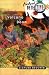 The Volcano of Doom (Accidental Detectives (Bethany House))