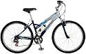 Schwinn Ridge AL Women's Mountain Bike (26-Inch Wheels, Matte Silver/Matte Purple)
