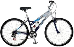 Schwinn Ridge AL Women's Mountain Bike (26-Inch Wheels, Matte Silver/Matte Purple)