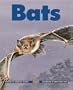 Bats (Kids Can Press Wildlife Series)