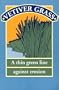 Vetiver Grass: A Thin Green Line Against Erosion