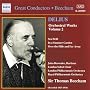 Delius: Orchestral Works, Vol.2