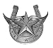 HORSESHOE WINGED STAR BELT BUCKLE TATTOO WESTERN BIG