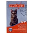 Advantage Flea: Cats under 9 lbs : 6 Month