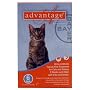 Advantage Flea: Cats under 9 lbs : 6 Month
