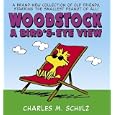 Woodstock    A Bird's-Eye View