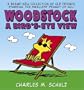 Woodstock    A Bird's-Eye View