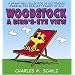 Woodstock    A Bird's-Eye View