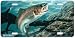 Over the Rainbow - Rainbow Trout Fish Art Print - License Plate by Randy McGovern fro...