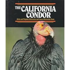 California Condor, The (Endangered in America)