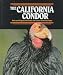 California Condor, The (Endangered in America)