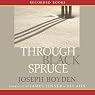Through Black Spruce