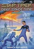 Arcade: ARCADE (Star Trek : Deep Space Nine, No 5)