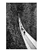 Suspension Bridge - Vancouver Photographic Poster Print by Gordon Powles, 8x10