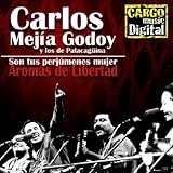 Carlos Mej&Atilde;�&Acirc;&shy;a Godoy Son tus perj&Atilde;�&Acirc;&ordm;menes mujer - Aromas de libertad