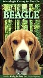 Selecting and Caring For Your Pet Beagle [VHS]