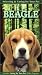 Selecting and Caring For Your Pet Beagle
