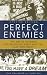 Perfect Enemies: The Battle Between the Religious Right and the Gay Movement