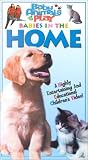 Babies in the Home (Baby Animals at Play)
