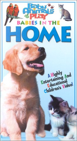 City Travel Guides Discounted  VHS : Babies in the Home