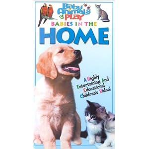 Babies in the Home (Baby Animals at Play)