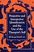 Projective and Introjective Identification and the Use of the Therapist's Self