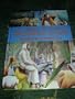 Ukrainian Large Print and Format A4 Children's Bible / Biblija Ukranian /  , ukrayins'ka mova