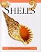 Book Shells (Pocket Companion)
