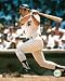 Thurmon Munson New york Yankees Hitting Color 8x10 Photo