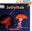 Jellyfish (Welcome Books)