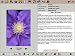 Complete Garden: Interactive 2,500 Plant Finder and Pruning Guide (PC)
