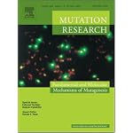 The offspring of irradiated parents, are they stable? [An article from: Mutation Research - Fundamental and Molecular Mechanisms of Mutagenesis book cover