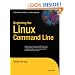 Beginning the Linux Command Line