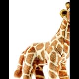 Peluche 50 cm ANIMA SCENA