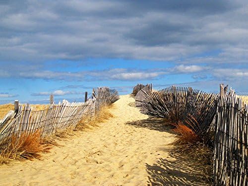 Buyartforless Path to The Outer Beach 32x24 GICLEE Art Print Photography by Joseph Condon